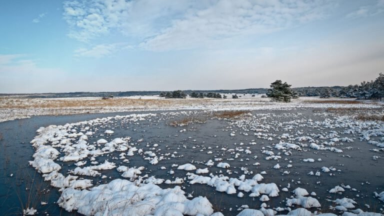 Sneeuw en ijs op de Asselse hei