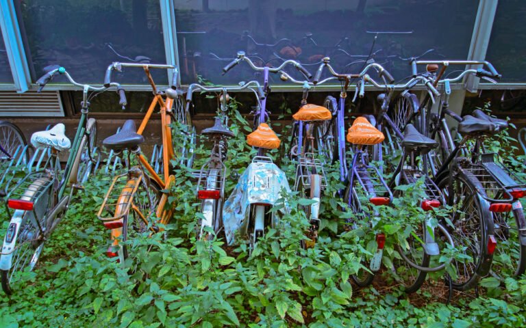 Verwaarloosde fietsen van studenten