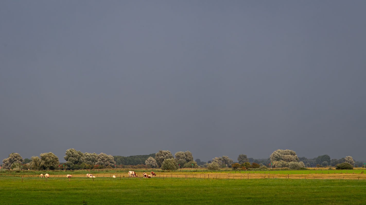 Een zonnestraal tussen de regenbuien