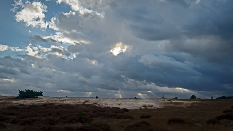 Donkere wolken boven de Hoge Veluwe