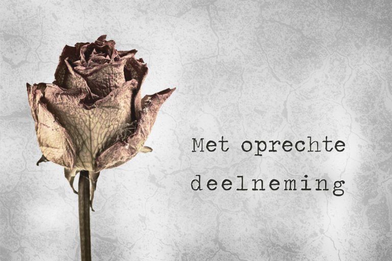Condoleance kaart met tekst met oprechte deelneming en een gedroogde roos