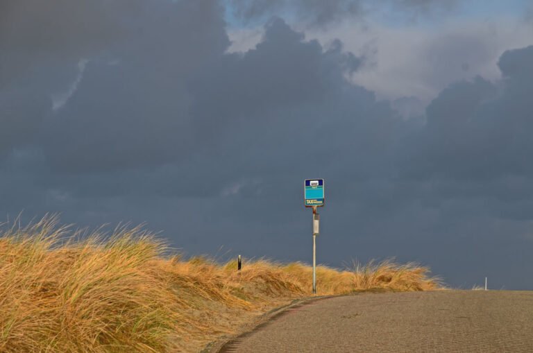 Bushalte paal8 op de blanke top van het duin op Terschelling