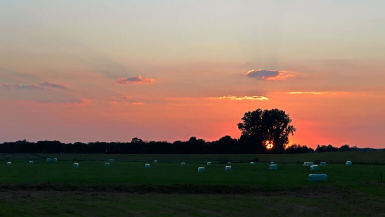 Zonsondergang in de uiterwaarden van de IJssel bij het buurtschap Cortenoever
