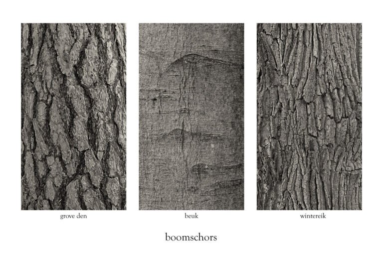 Boomschors van grove den, beuk en zomereik