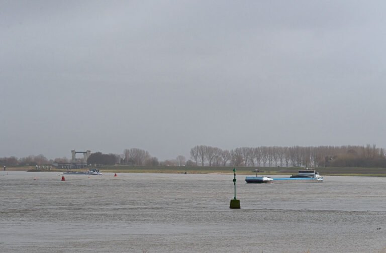 Binnenvaartschepen op de Waal bij Rossum