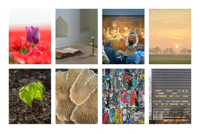 De acht beste foto's van 2015